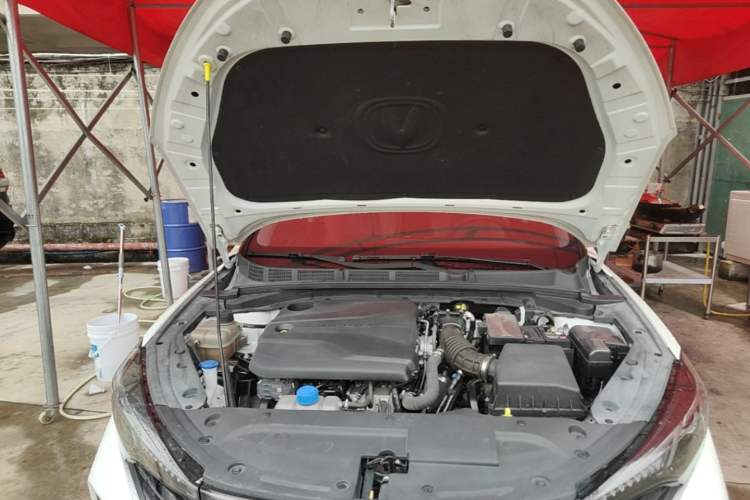 Used CHANGAN Eado 2023 Changan Edition PLUS Blue Whale NE 1.4T GDI DCT Prestige Version Engine Bay