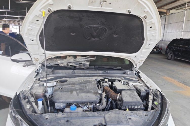 Used CHANGAN Eado 2023 Changan Edition PLUS Blue Whale NE 1.4T GDI DCT Prestige Version Engine Bay