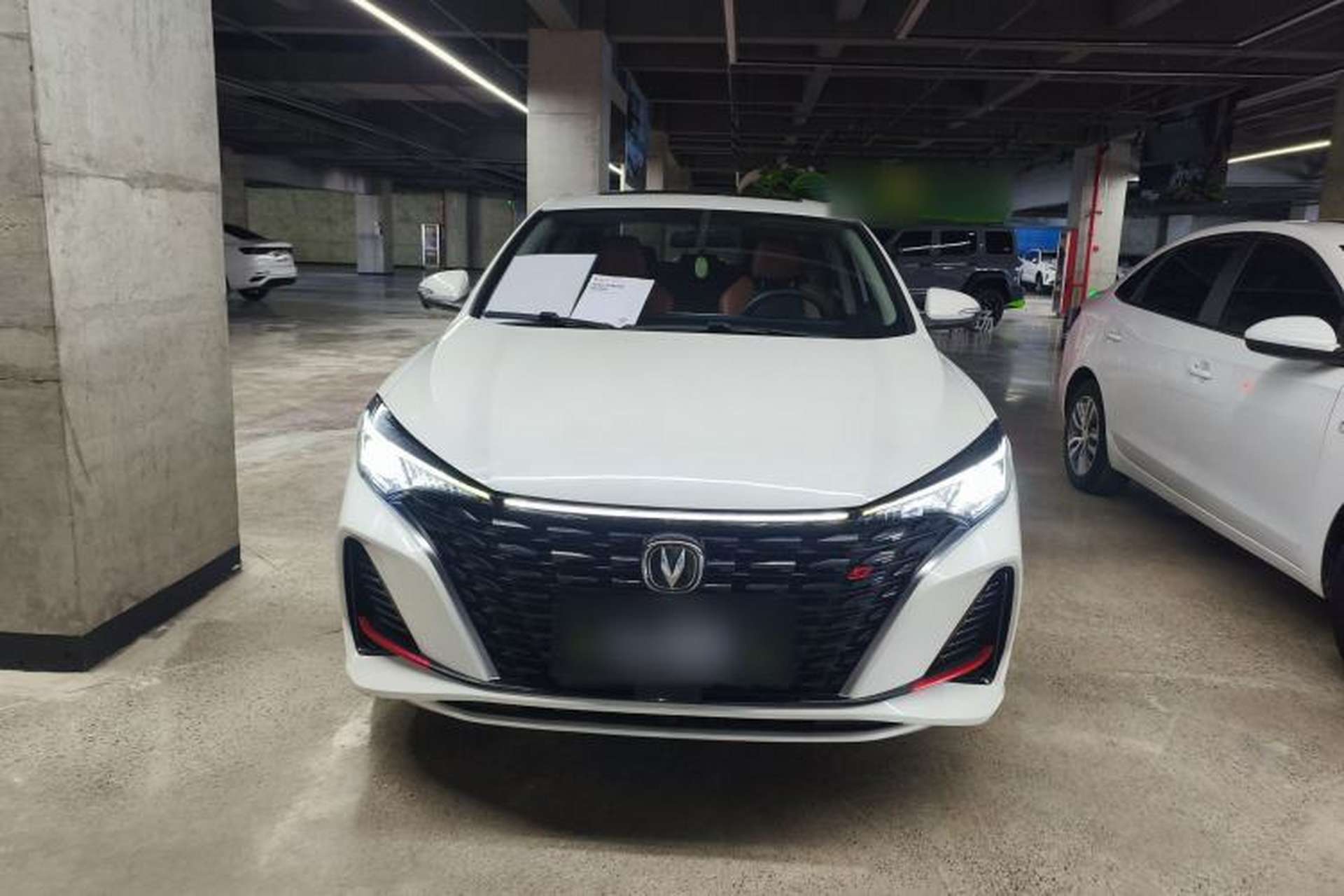 Used CHANGAN Eado 2023 Changan Edition PLUS Blue Whale NE 1.4T GDI DCT Prestige Version Exterior 1
