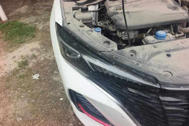 Used CHANGAN Eado 2023 Changan Edition PLUS Blue Whale NE 1.4T GDI DCT Prestige Version Exterior 6