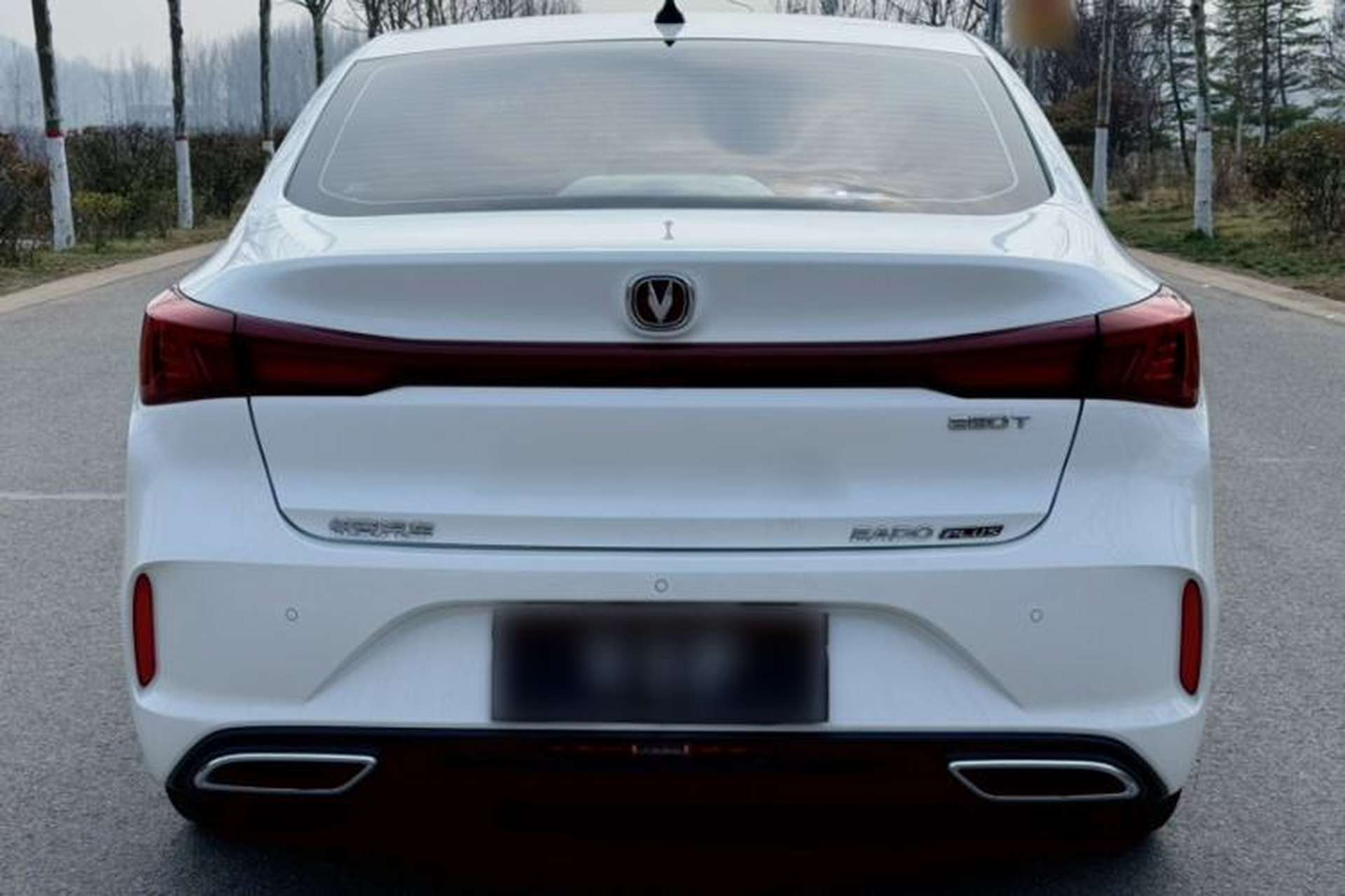 Used CHANGAN Eado 2023 Changan Edition PLUS Blue Whale NE 1.4T GDI DCT Prestige Version Exterior 8