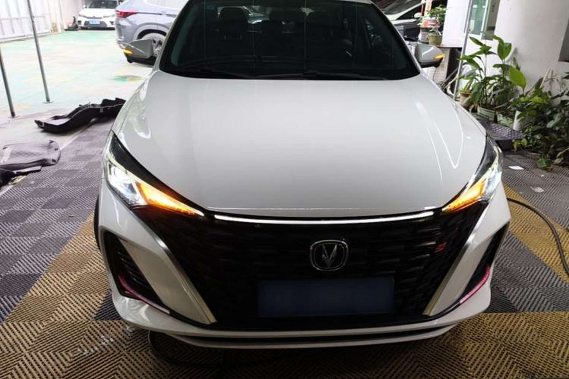 Used CHANGAN Eado 2023 Changan Edition PLUS Blue Whale NE 1.4T GDI DCT Prestige Version Front