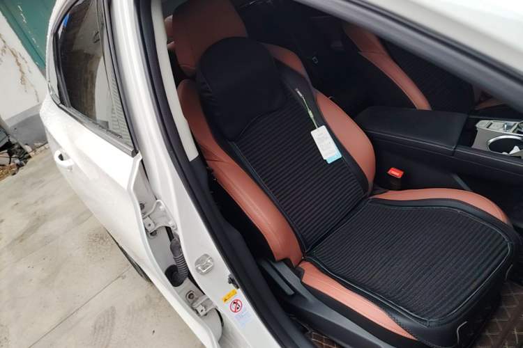 Used CHANGAN Eado 2023 Changan Edition PLUS Blue Whale NE 1.4T GDI DCT Prestige Version Right Front Seat