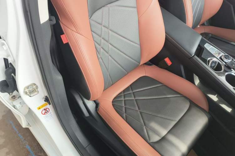 Used CHANGAN Eado 2023 Changan Edition PLUS Blue Whale NE 1.4T GDI DCT Prestige Version Right Front Seat