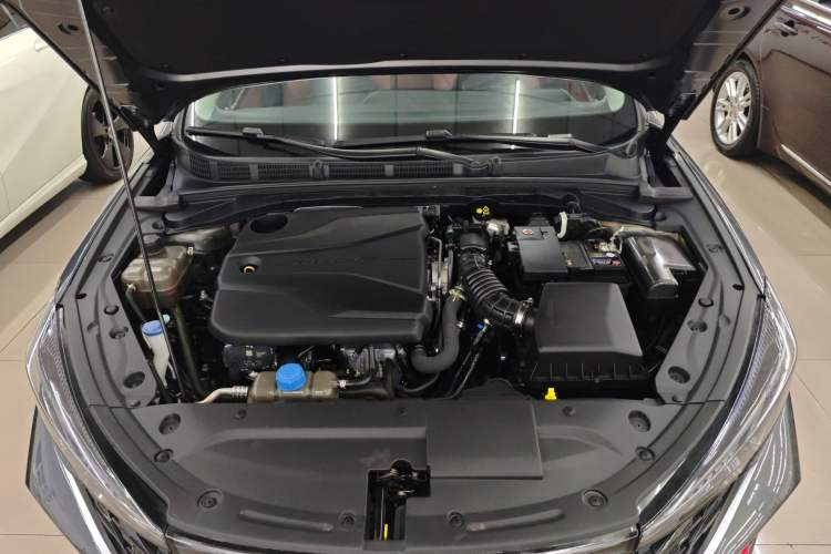 Used CHANGAN Eado 2024 PLUS Blue Whale NE 1.4T GDI DCT High-Energy Edition Engine Bay
