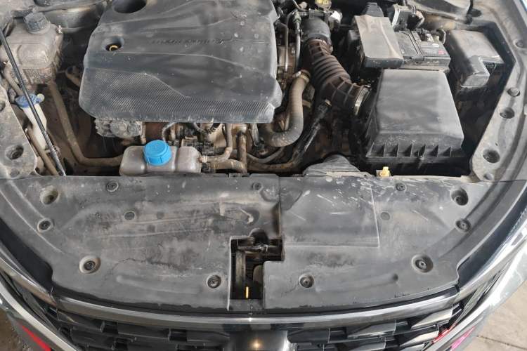 Used CHANGAN Eado 2024 PLUS Blue Whale NE 1.4T GDI DCT High-Energy Edition Engine Bay