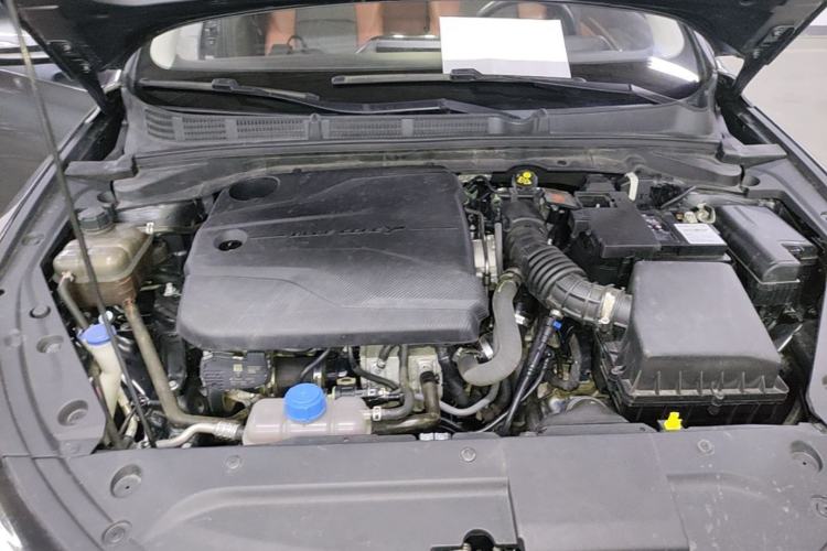 Used CHANGAN Eado 2024 PLUS Blue Whale NE 1.4T GDI DCT High-Energy Edition Engine Bay
