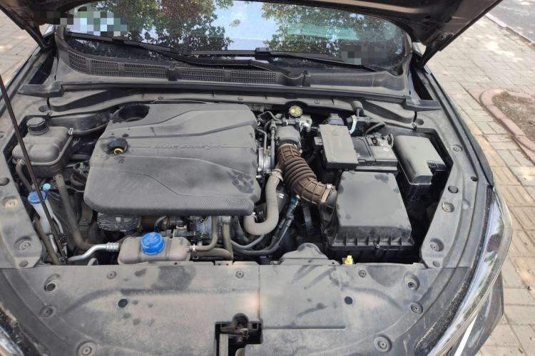 Used CHANGAN Eado 2024 PLUS Blue Whale NE 1.4T GDI DCT High-Energy Edition Engine Bay