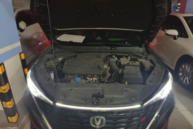 Used CHANGAN Eado 2024 PLUS Blue Whale NE 1.4T GDI DCT High-Energy Edition Engine Bay