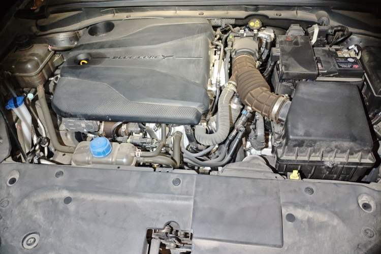 Used CHANGAN Eado 2024 PLUS Blue Whale NE 1.4T GDI DCT High-Energy Edition Engine Bay