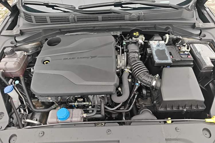 Used CHANGAN Eado 2024 PLUS Blue Whale NE 1.4T GDI DCT High-Energy Edition Engine Bay