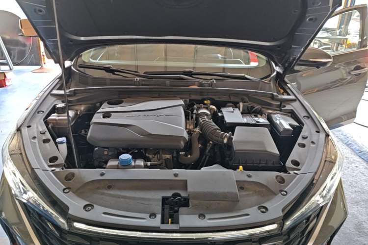 Used CHANGAN Eado 2024 PLUS Blue Whale NE 1.4T GDI DCT High-Energy Edition Engine Bay