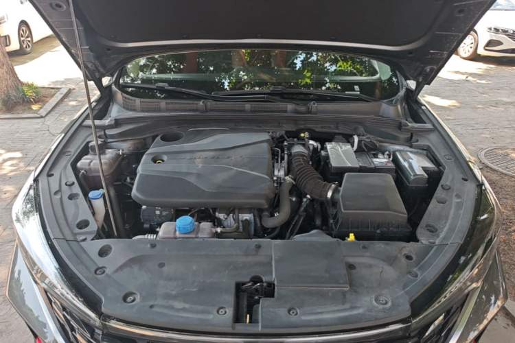 Used CHANGAN Eado 2024 PLUS Blue Whale NE 1.4T GDI DCT High-Energy Edition Engine Bay
