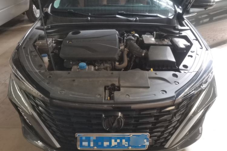 Used CHANGAN Eado 2024 PLUS Blue Whale NE 1.4T GDI DCT High-Energy Edition Engine Bay