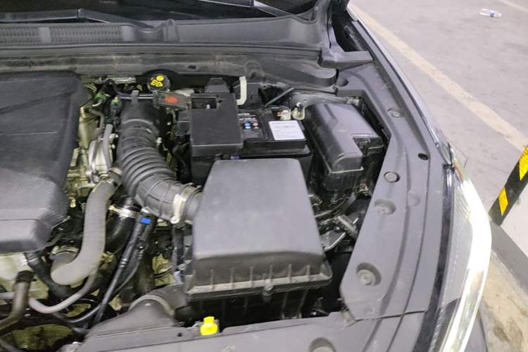 Used CHANGAN Eado 2024 PLUS Blue Whale NE 1.4T GDI DCT High-Energy Edition Engine Bay Left