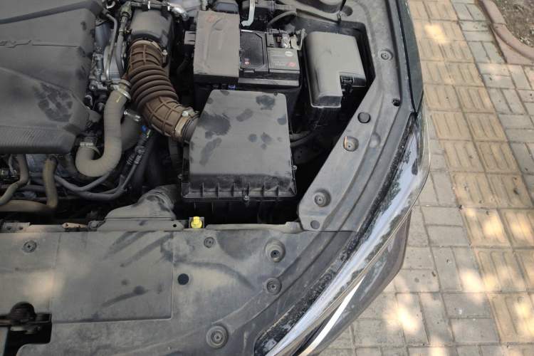 Used CHANGAN Eado 2024 PLUS Blue Whale NE 1.4T GDI DCT High-Energy Edition Engine Bay Left