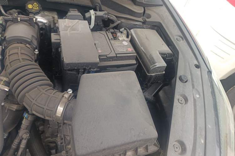 Used CHANGAN Eado 2024 PLUS Blue Whale NE 1.4T GDI DCT High-Energy Edition Engine Bay Left