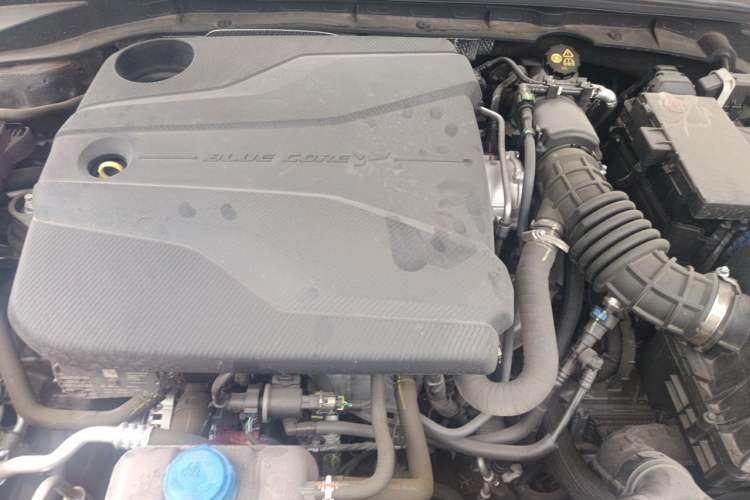 Used CHANGAN Eado 2024 PLUS Blue Whale NE 1.4T GDI DCT High-Energy Edition Engine Bay