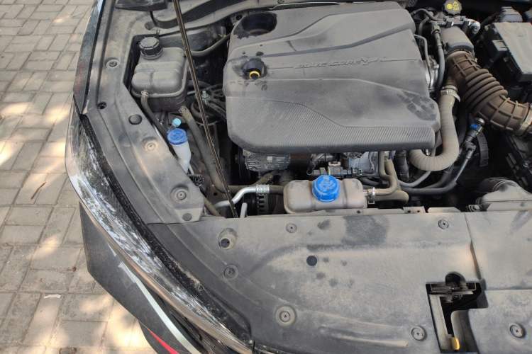 Used CHANGAN Eado 2024 PLUS Blue Whale NE 1.4T GDI DCT High-Energy Edition Engine Bay Right