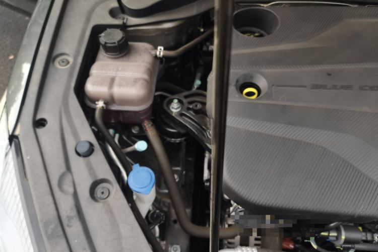 Used CHANGAN Eado 2024 PLUS Blue Whale NE 1.4T GDI DCT High-Energy Edition Engine Bay Right