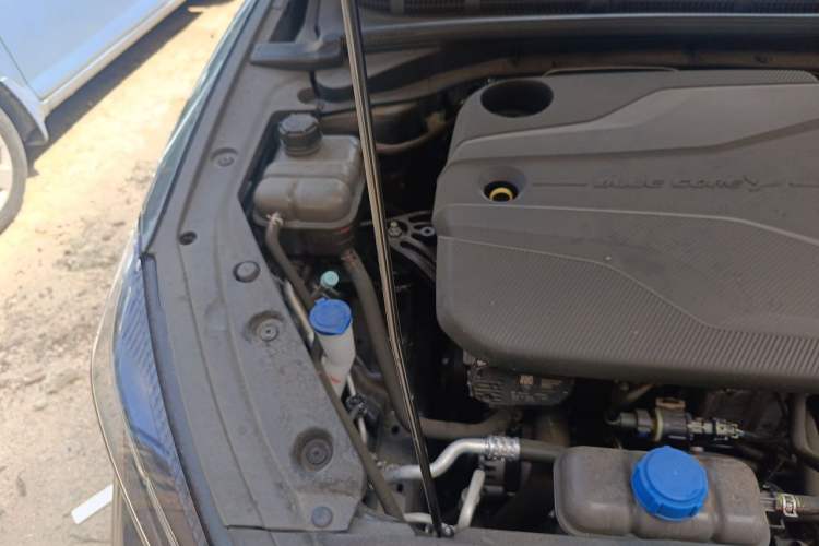 Used CHANGAN Eado 2024 PLUS Blue Whale NE 1.4T GDI DCT High-Energy Edition Engine Bay Right
