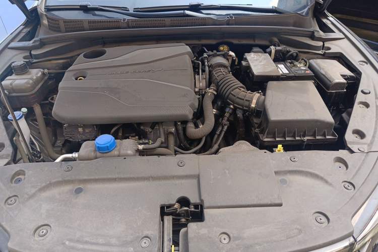 Used CHANGAN Eado 2024 PLUS Blue Whale NE 1.4T GDI DCT High-Energy Edition Engine Bay