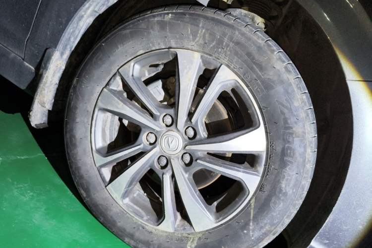 Used CHANGAN Eado 2024 PLUS Blue Whale NE 1.4T GDI DCT High-Energy Edition Exterior 1