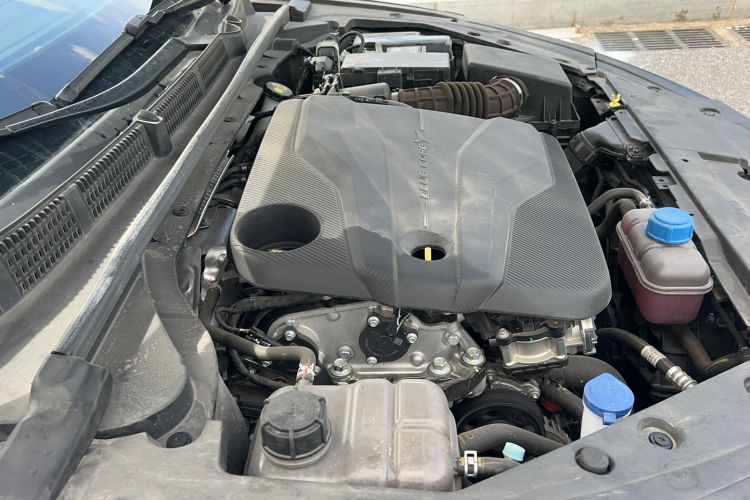Used CHANGAN Eado 2024 PLUS Blue Whale NE 1.4T GDI DCT High-Energy Edition Exterior 14