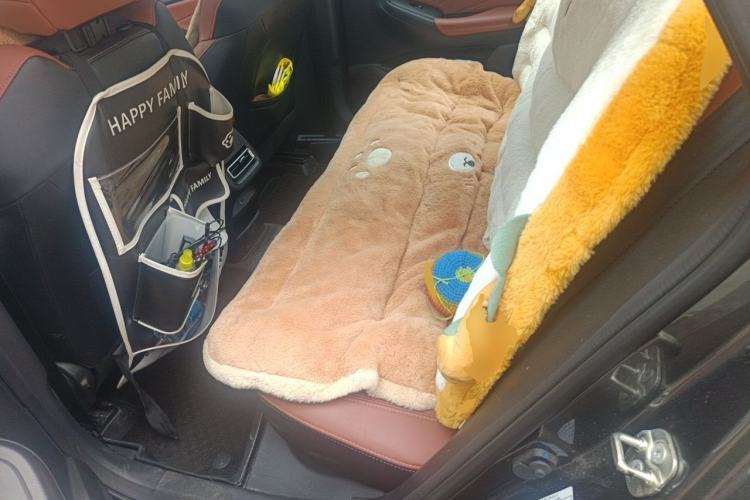 Used CHANGAN Eado 2024 PLUS Blue Whale NE 1.4T GDI DCT High-Energy Edition Left Rear Seat