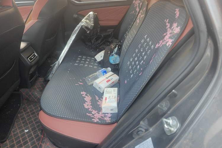 Used CHANGAN Eado 2024 PLUS Blue Whale NE 1.4T GDI DCT High-Energy Edition Left Rear Seat