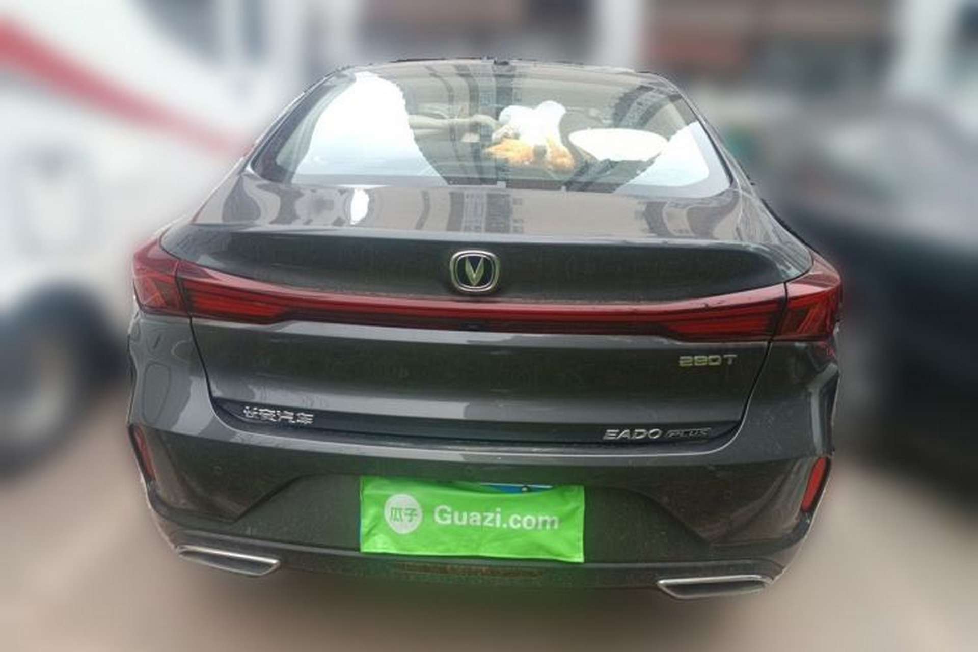 Used CHANGAN Eado 2024 PLUS Blue Whale NE 1.4T GDI DCT High-Energy Edition Rear