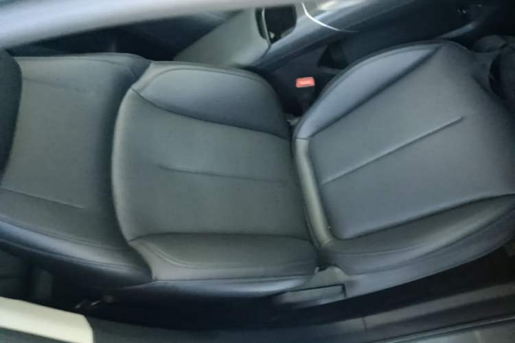 Used CHANGAN Eado 2024 1.5T GDI Automatic Prestige Edition Right Front Seat
