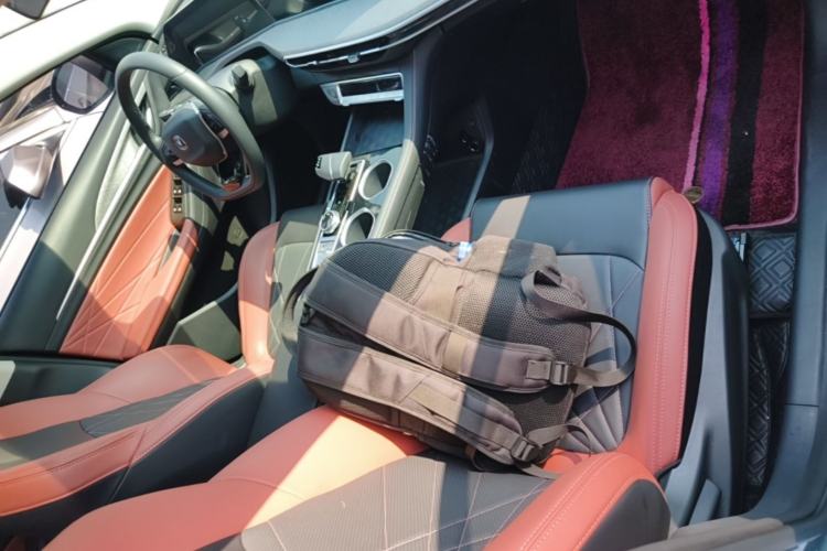 Used CHANGAN Eado 2024 PLUS Blue Whale NE 1.4T GDI DCT High-Energy Edition Right Front Seat