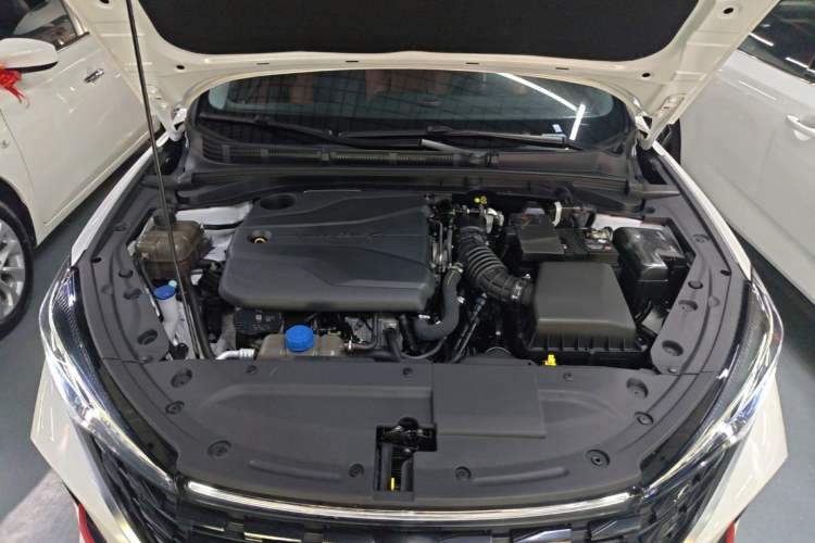 Used CHANGAN Eado 2024 PLUS Blue Whale NE 1.4T GDI DCT High-Energy Edition Engine Bay