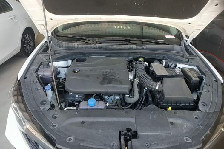 Used CHANGAN Eado 2024 PLUS Blue Whale NE 1.4T GDI DCT High-Energy Edition Engine Bay