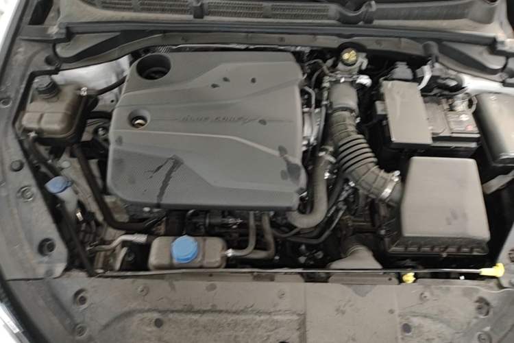 Used CHANGAN Eado 2024 PLUS Blue Whale NE 1.4T GDI DCT High-Energy Edition Engine Bay