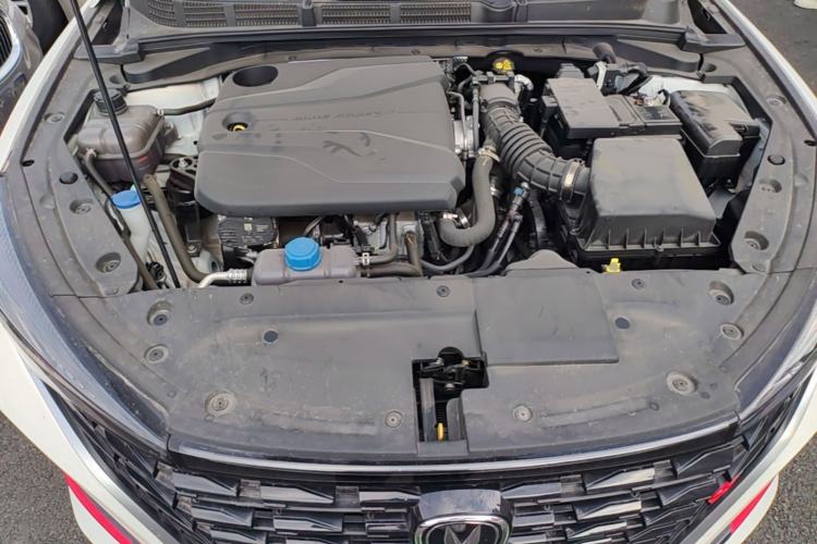 Used CHANGAN Eado 2024 PLUS Blue Whale NE 1.4T GDI DCT High-Energy Edition Engine Bay