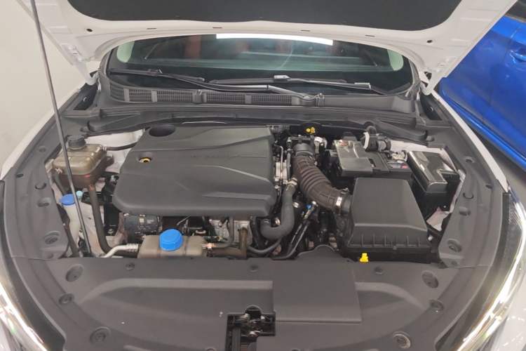 Used CHANGAN Eado 2024 PLUS Blue Whale NE 1.4T GDI DCT High-Energy Edition Engine Bay