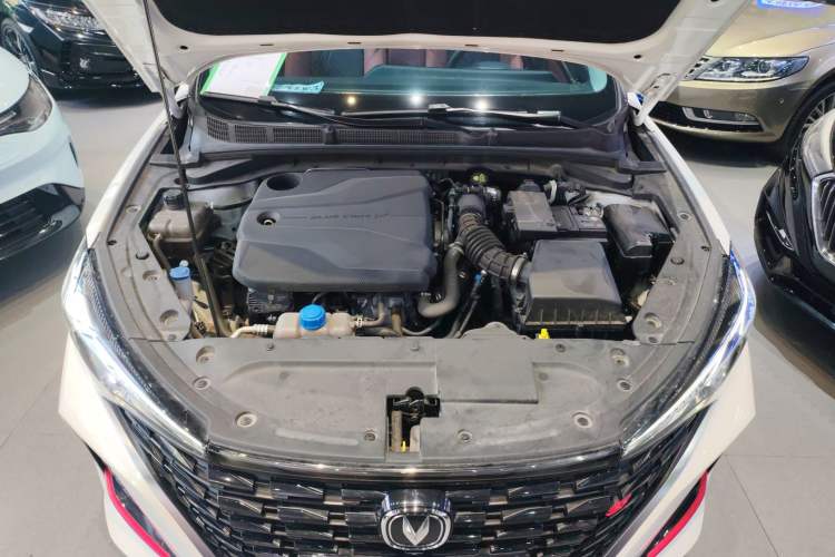 Used CHANGAN Eado 2024 PLUS Blue Whale NE 1.4T GDI DCT High-Energy Edition Engine Bay