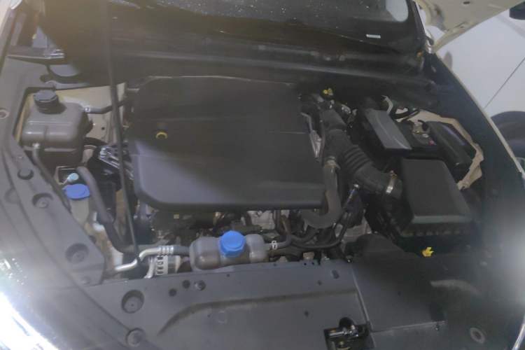 Used CHANGAN Eado 2024 PLUS Blue Whale NE 1.4T GDI DCT High-Energy Edition Engine Bay