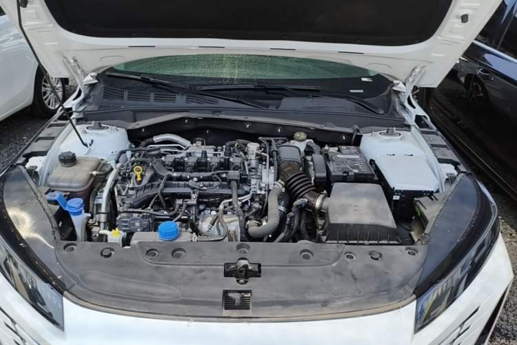 Used CHANGAN Eado 2024 1.5T GDI Automatic Enjoyment Edition Engine Bay