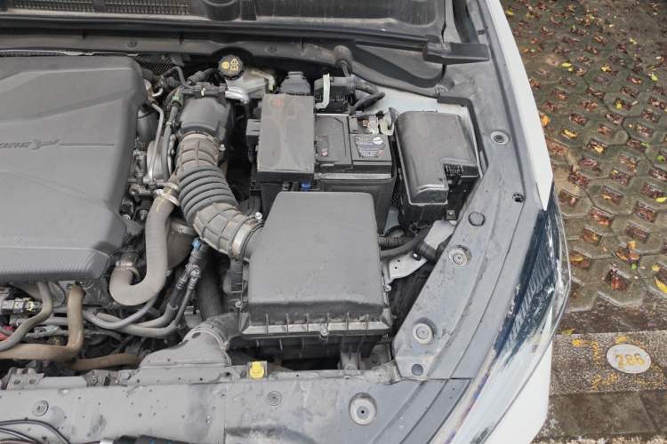 Used CHANGAN Eado 2024 PLUS Blue Whale NE 1.4T GDI DCT High-Energy Edition Engine Bay Left