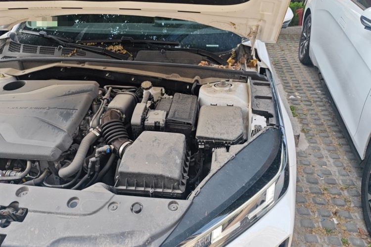 Used CHANGAN Eado 2024 1.5T GDI Automatic Prestige Edition Engine Bay Left