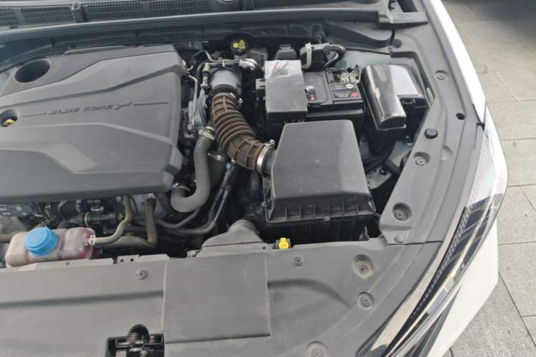 Used CHANGAN Eado 2024 PLUS Blue Whale NE 1.4T GDI DCT High-Energy Edition Engine Bay Left