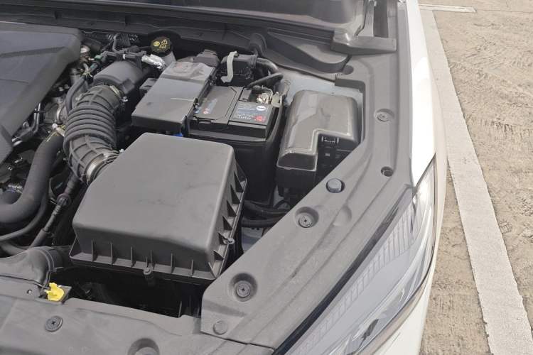 Used CHANGAN Eado 2024 PLUS Blue Whale NE 1.4T GDI DCT High-Energy Edition Engine Bay Left