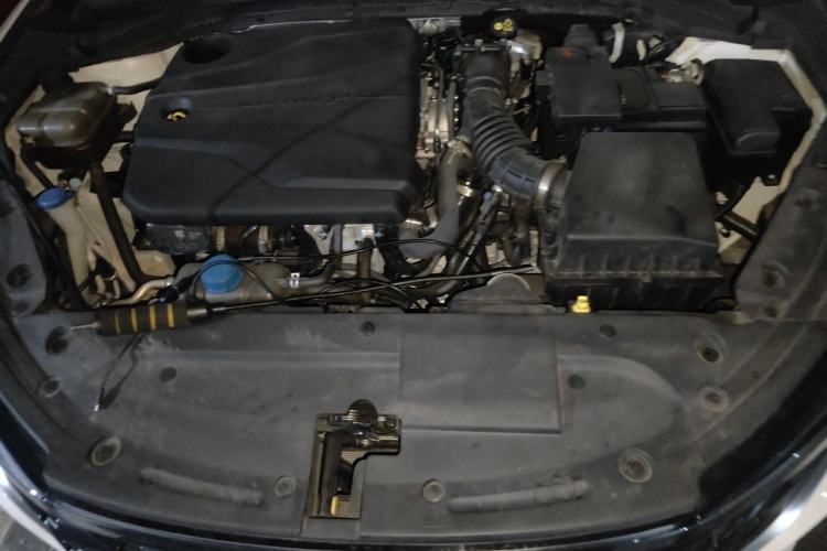 Used CHANGAN Eado 2024 PLUS Blue Whale NE 1.4T GDI DCT High-Energy Edition Engine Bay