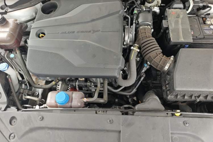 Used CHANGAN Eado 2024 PLUS Blue Whale NE 1.4T GDI DCT High-Energy Edition Engine Bay