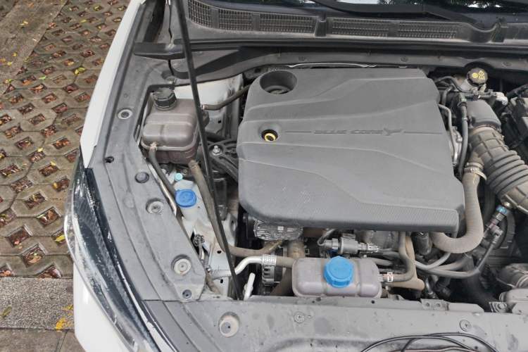 Used CHANGAN Eado 2024 PLUS Blue Whale NE 1.4T GDI DCT High-Energy Edition Engine Bay Right