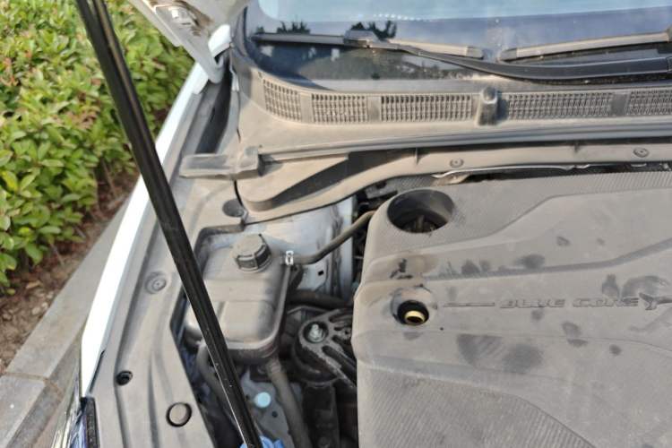 Used CHANGAN Eado 2024 PLUS Blue Whale NE 1.4T GDI DCT High-Energy Edition Engine Bay Right