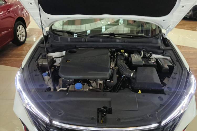 Used CHANGAN Eado 2024 PLUS Blue Whale NE 1.4T GDI DCT High-Energy Edition Engine Bay